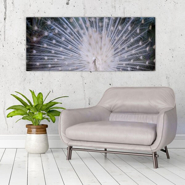 Slika - Bijeli paun (120x50 cm)