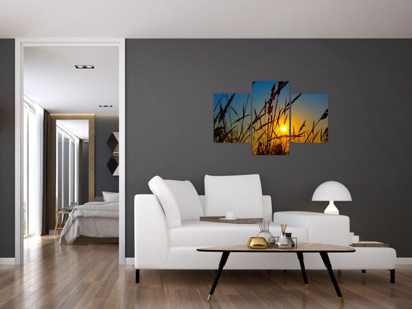 Slika - Zalazak sunca na livadi (90x60 cm)