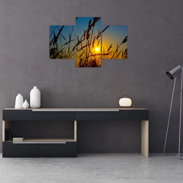 Slika - Zalazak sunca na livadi (90x60 cm)