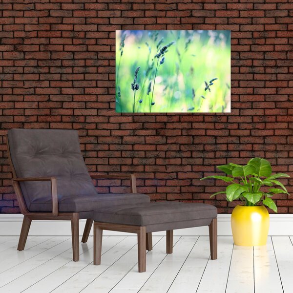 Slika - Detalj livade (70x50 cm)