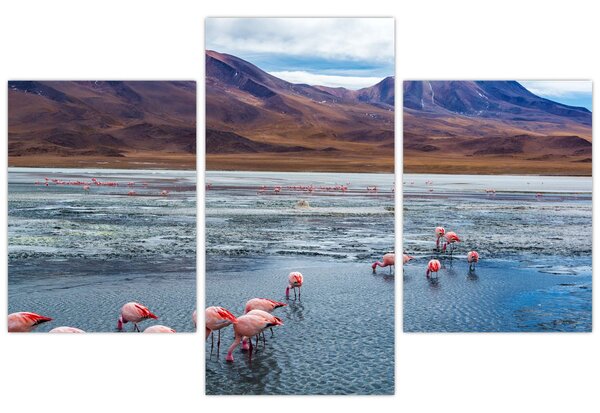 Slika - Flamingosi (90x60 cm)