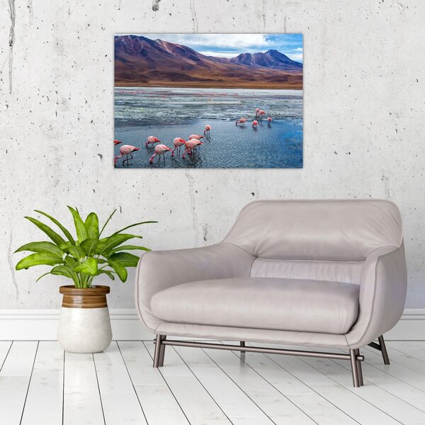 Slika - Flamingosi (70x50 cm)