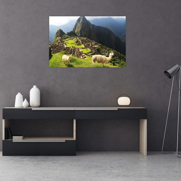 Slika - Lame u Machu Picchu (90x60 cm)
