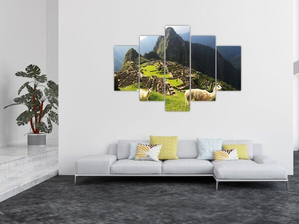 Slika - Lame u Machu Picchu (150x105 cm)