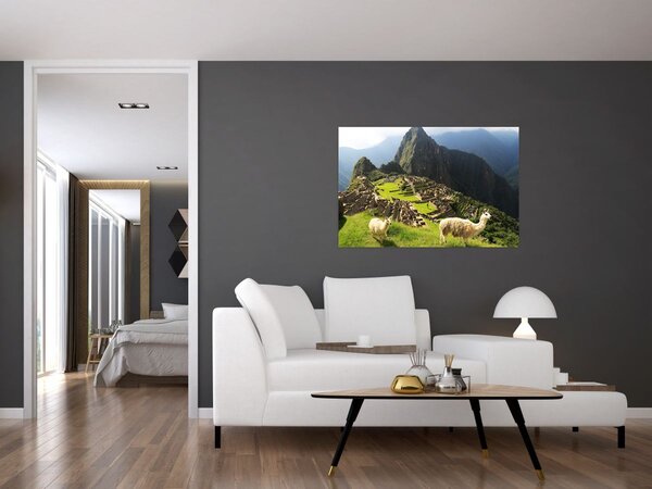 Slika - Lame u Machu Picchu (90x60 cm)