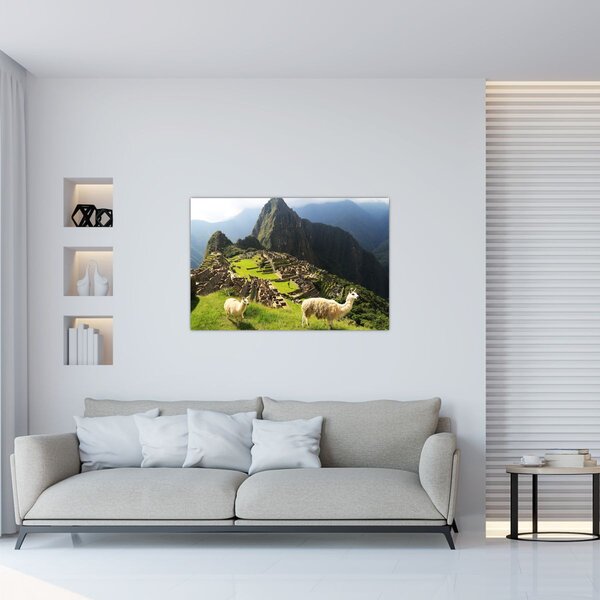 Slika - Lame u Machu Picchu (90x60 cm)