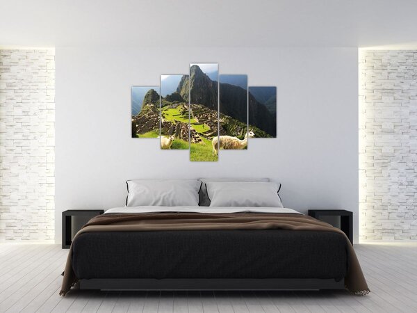 Slika - Lame u Machu Picchu (150x105 cm)