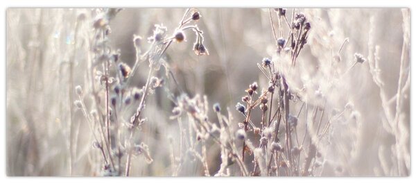 Slika - Biljka (120x50 cm)