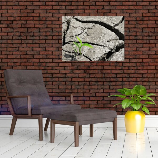 Slika - Pukotine (70x50 cm)