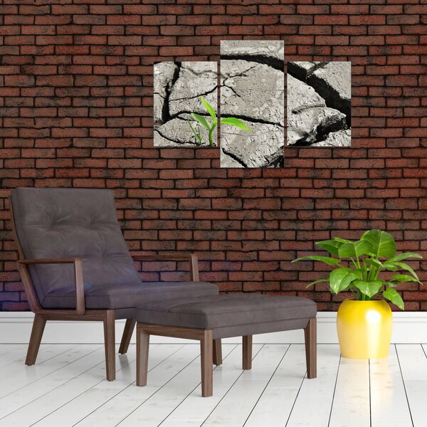 Slika - Pukotine (90x60 cm)