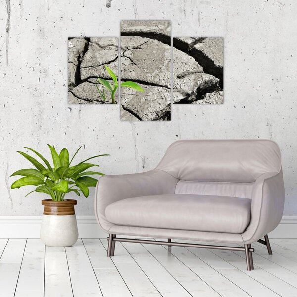 Slika - Pukotine (90x60 cm)