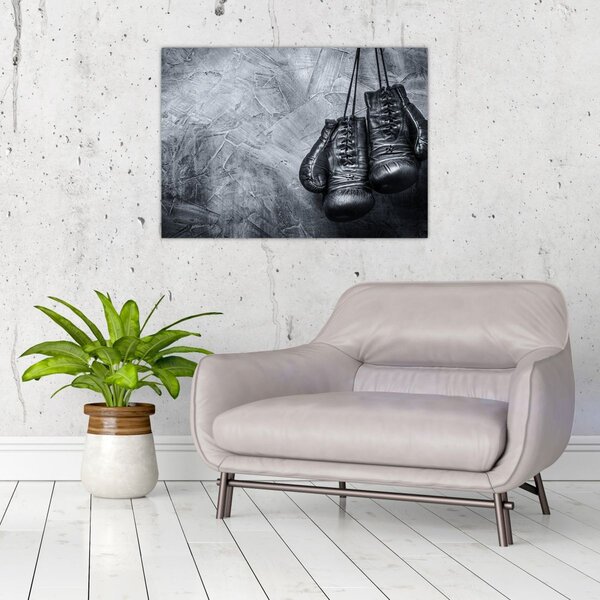 Slika - Rukavice za boks (70x50 cm)