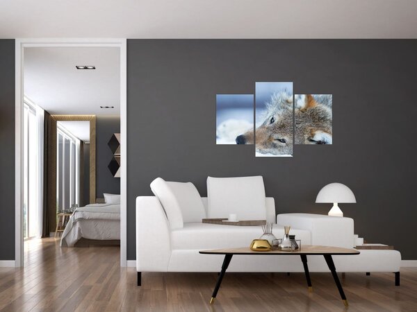 Slika - Vuk (90x60 cm)