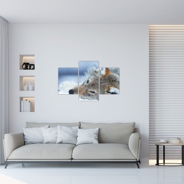 Slika - Vuk (90x60 cm)