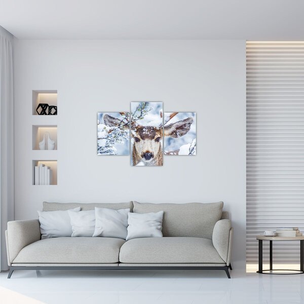 Slika - Jelen crvenouhi (90x60 cm)