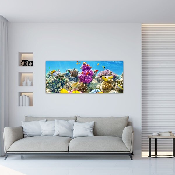 Slika - Morski svijet (120x50 cm)