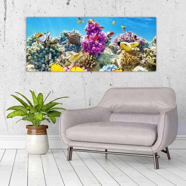 Slika - Morski svijet (120x50 cm)