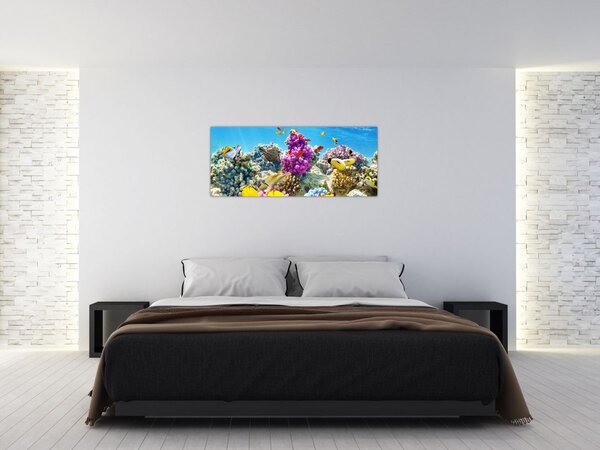 Slika - Morski svijet (120x50 cm)
