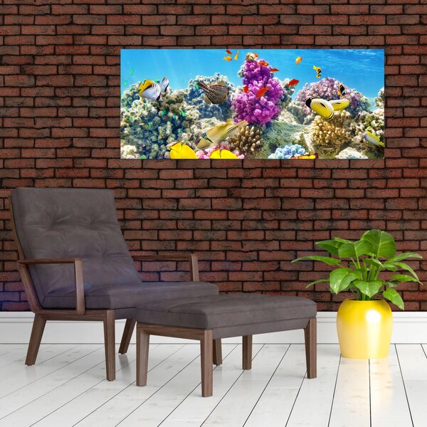 Slika - Morski svijet (120x50 cm)