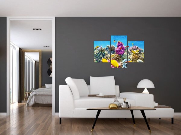 Slika - Morski svijet (90x60 cm)