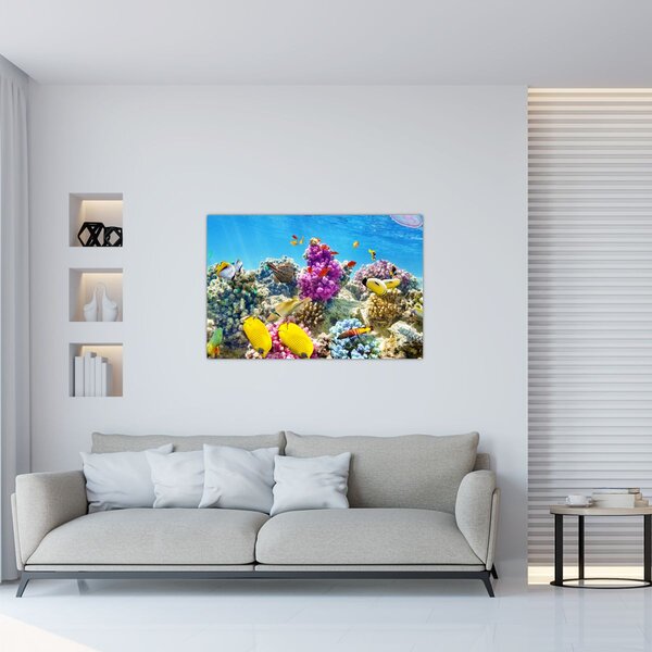Slika - Morski svijet (90x60 cm)