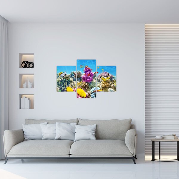Slika - Morski svijet (90x60 cm)
