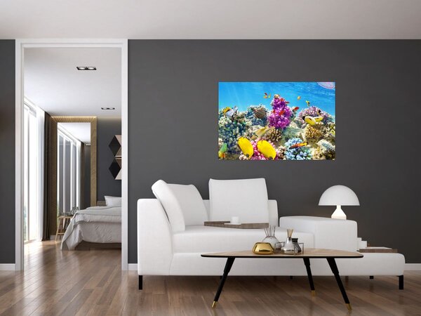 Slika - Morski svijet (90x60 cm)