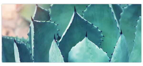 Slika - Sukulent (120x50 cm)