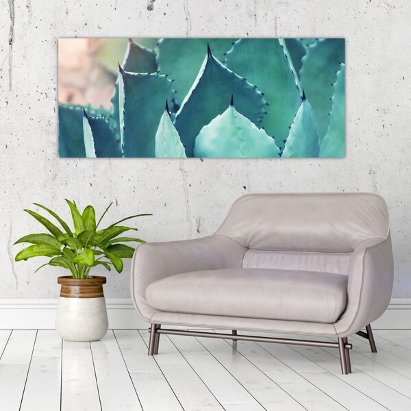 Slika - Sukulent (120x50 cm)