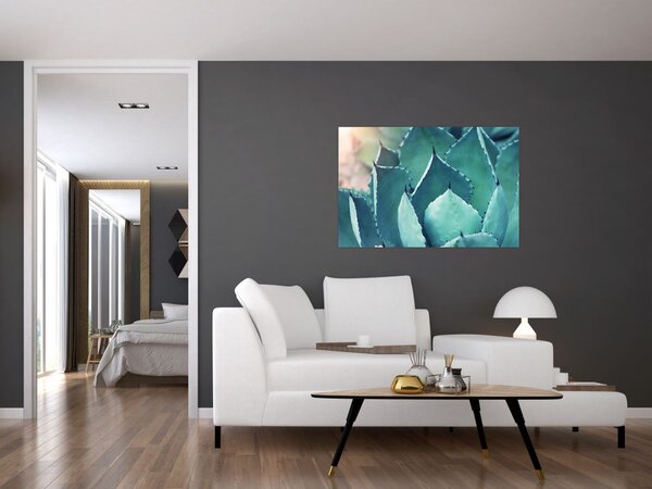 Slika - Sukulent (90x60 cm)