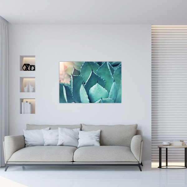 Slika - Sukulent (90x60 cm)
