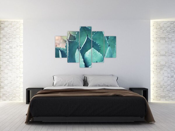 Slika - Sukulent (150x105 cm)