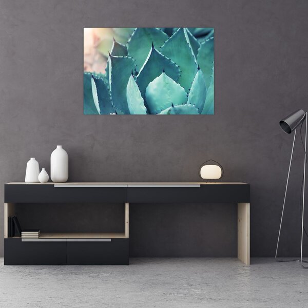 Slika - Sukulent (90x60 cm)