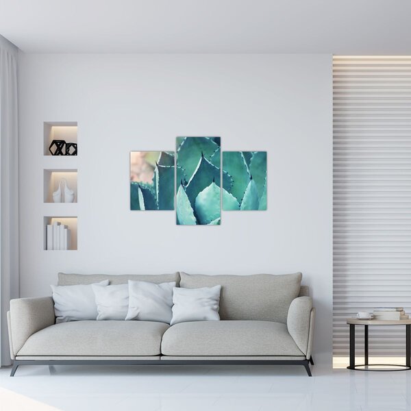 Slika - Sukulent (90x60 cm)