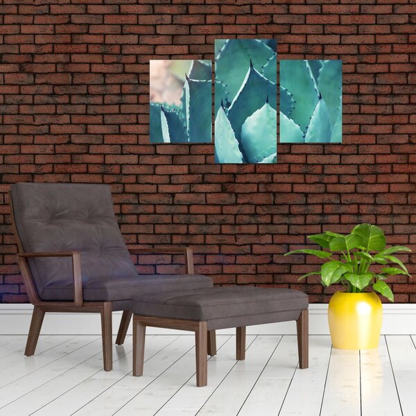 Slika - Sukulent (90x60 cm)