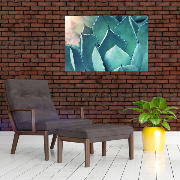 Slika - Sukulent (90x60 cm)