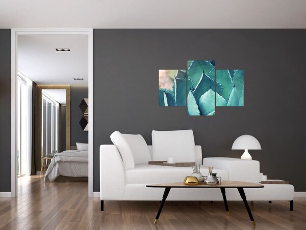 Slika - Sukulent (90x60 cm)