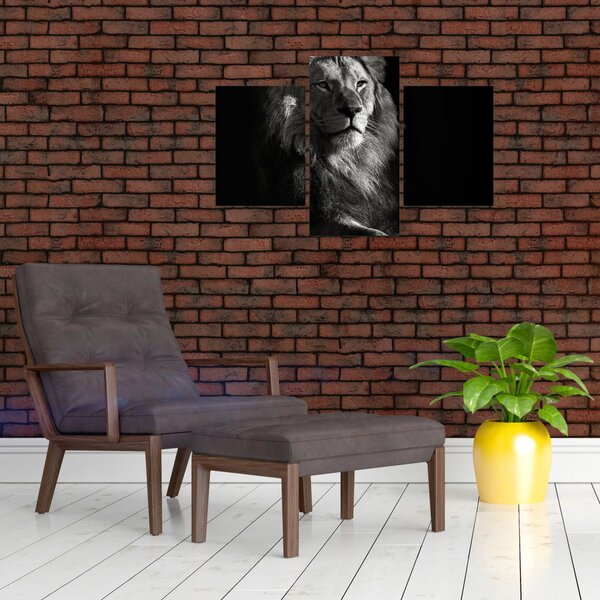 Slika - Lav (90x60 cm)