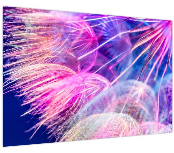 Slika - Makro (90x60 cm)