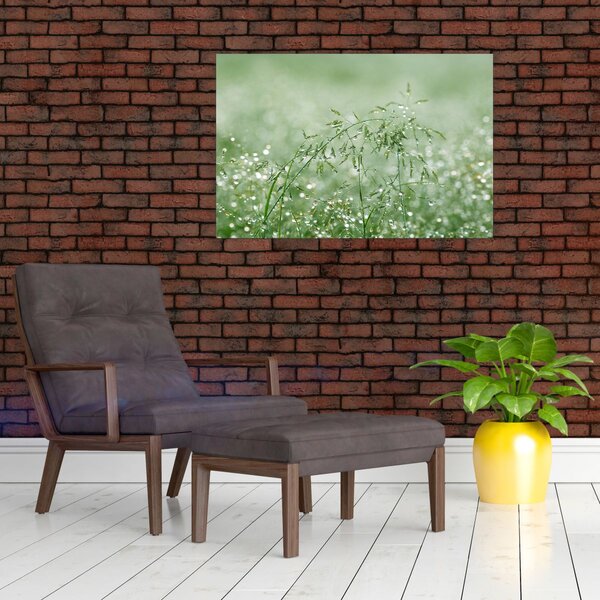 Slika - Jutarnja rosa na vlatima trave (90x60 cm)