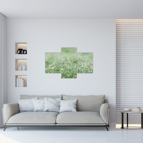 Slika - Jutarnja rosa na vlatima trave (90x60 cm)