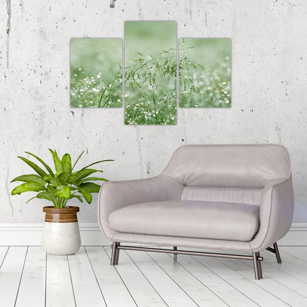 Slika - Jutarnja rosa na vlatima trave (90x60 cm)