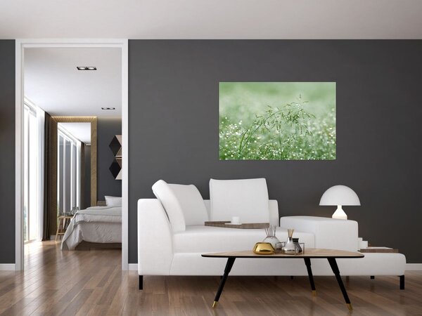 Slika - Jutarnja rosa na vlatima trave (90x60 cm)