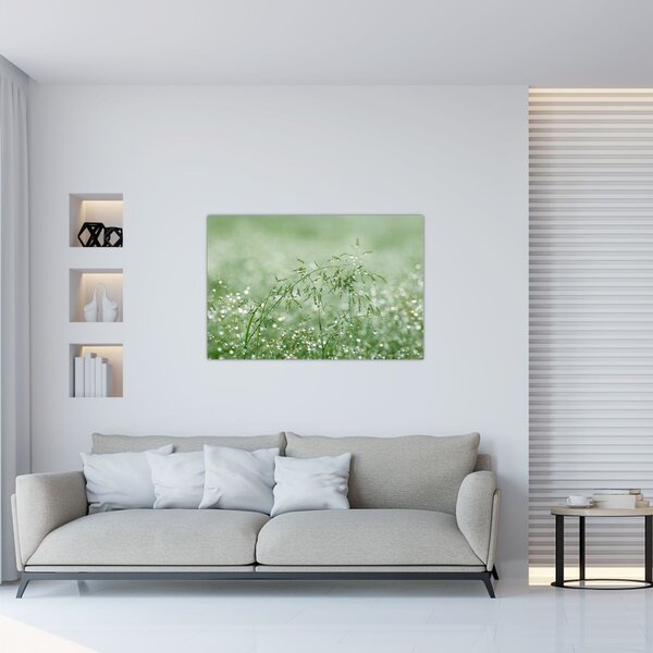 Slika - Jutarnja rosa na vlatima trave (90x60 cm)