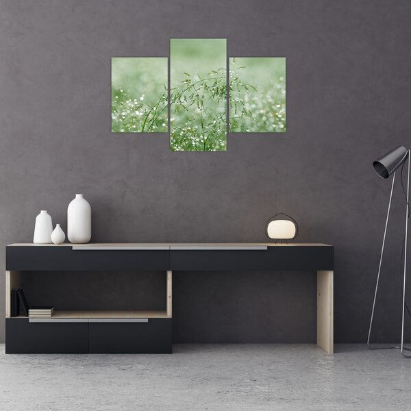 Slika - Jutarnja rosa na vlatima trave (90x60 cm)