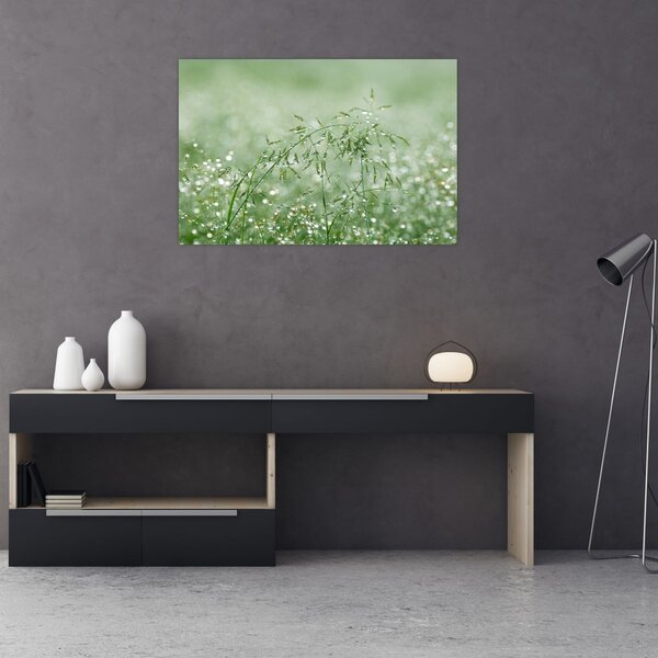 Slika - Jutarnja rosa na vlatima trave (90x60 cm)