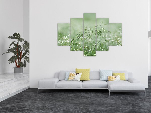 Slika - Jutarnja rosa na vlatima trave (150x105 cm)