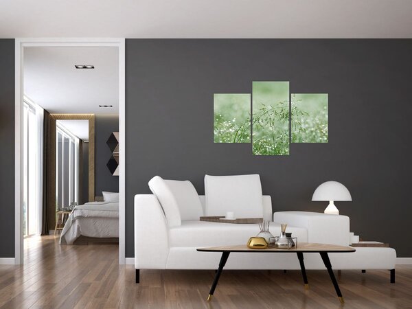 Slika - Jutarnja rosa na vlatima trave (90x60 cm)