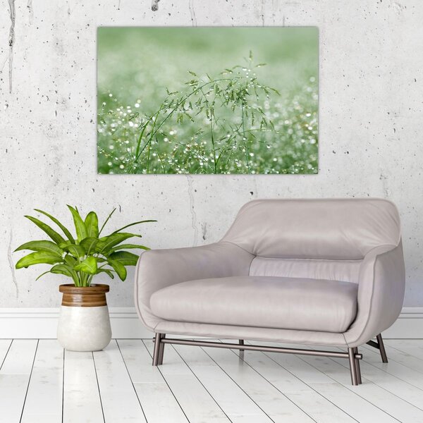 Slika - Jutarnja rosa na vlatima trave (90x60 cm)