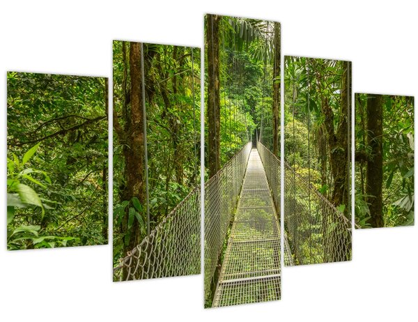 Slika - Viseći most (150x105 cm)